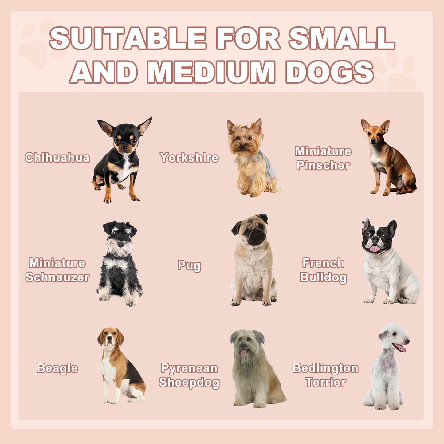 LEMBERI Outdoor Rattan Dog House with Canopy, Indoor Dog Bed for Small/Medium Dogs with Removable Cushion, Washable Cover, Dog Shelter for Patio, Deck, Yard, Pool, Brown