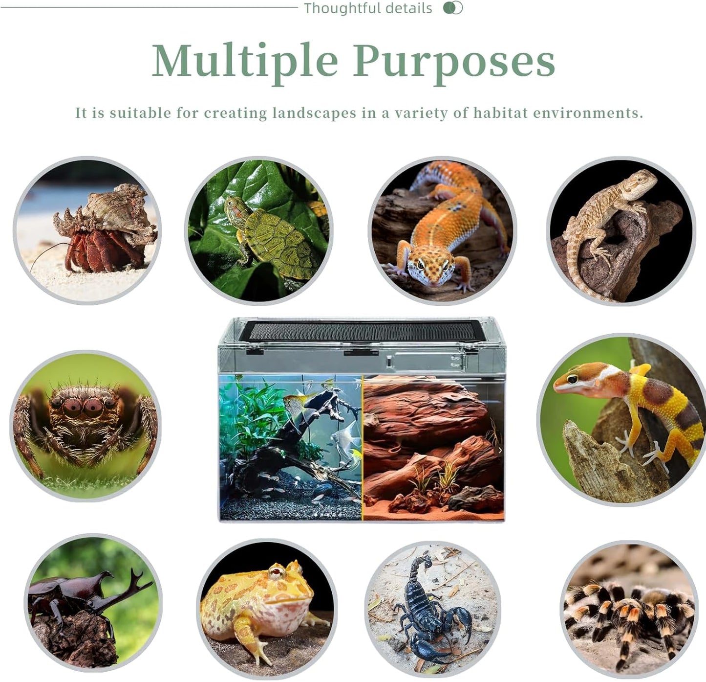 Reptile Terrarium 2025 Upgrade Leopard Gecko Tank Dual use of Water and Land, Stronger, More Durable, More Convenient, Suitable for Gecko, Hermit Crab, Tree Frog, Tarantula,Spiders (Large)