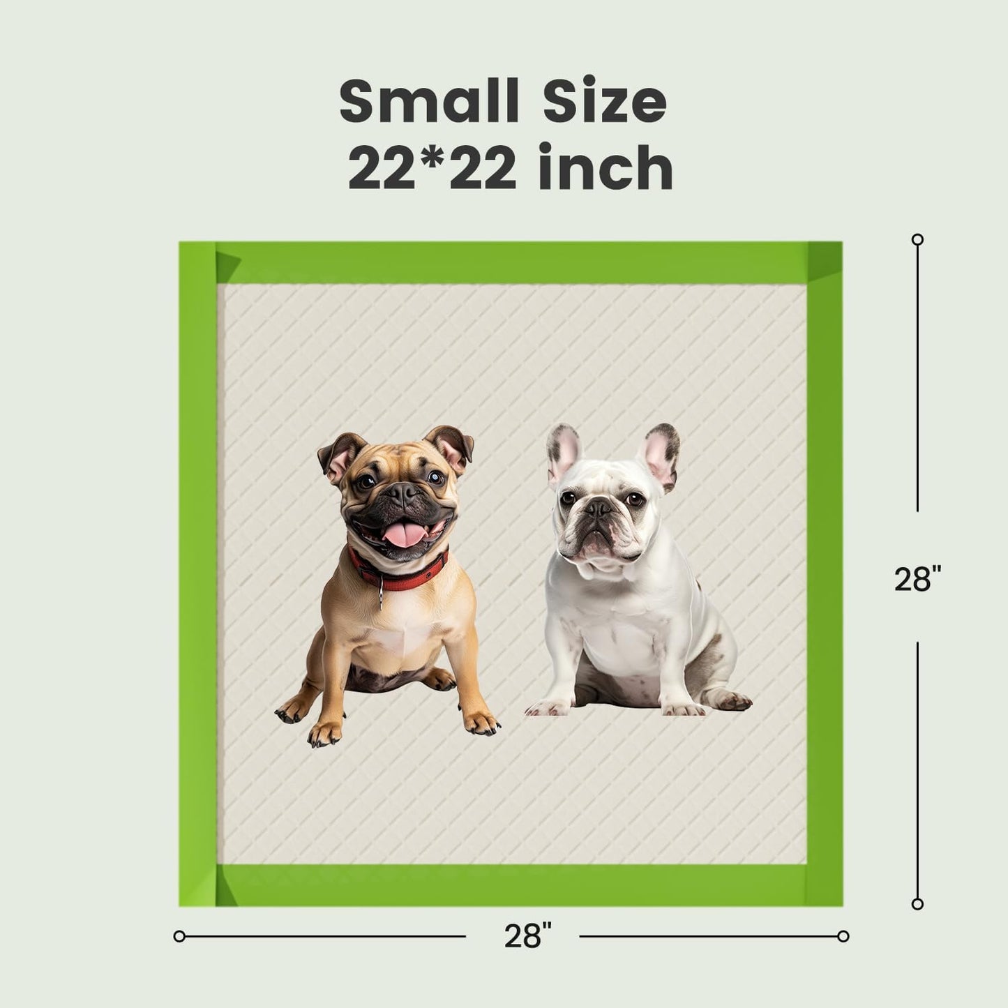 Dog Pee Pads Rugular 22"x22", Thicker ECO Green Small Disposable Puppy Training Pads Super Absorbent Full Edge-Wrapping Pad for Dogs, Puppies, Doggies, Cats-(100 Count)