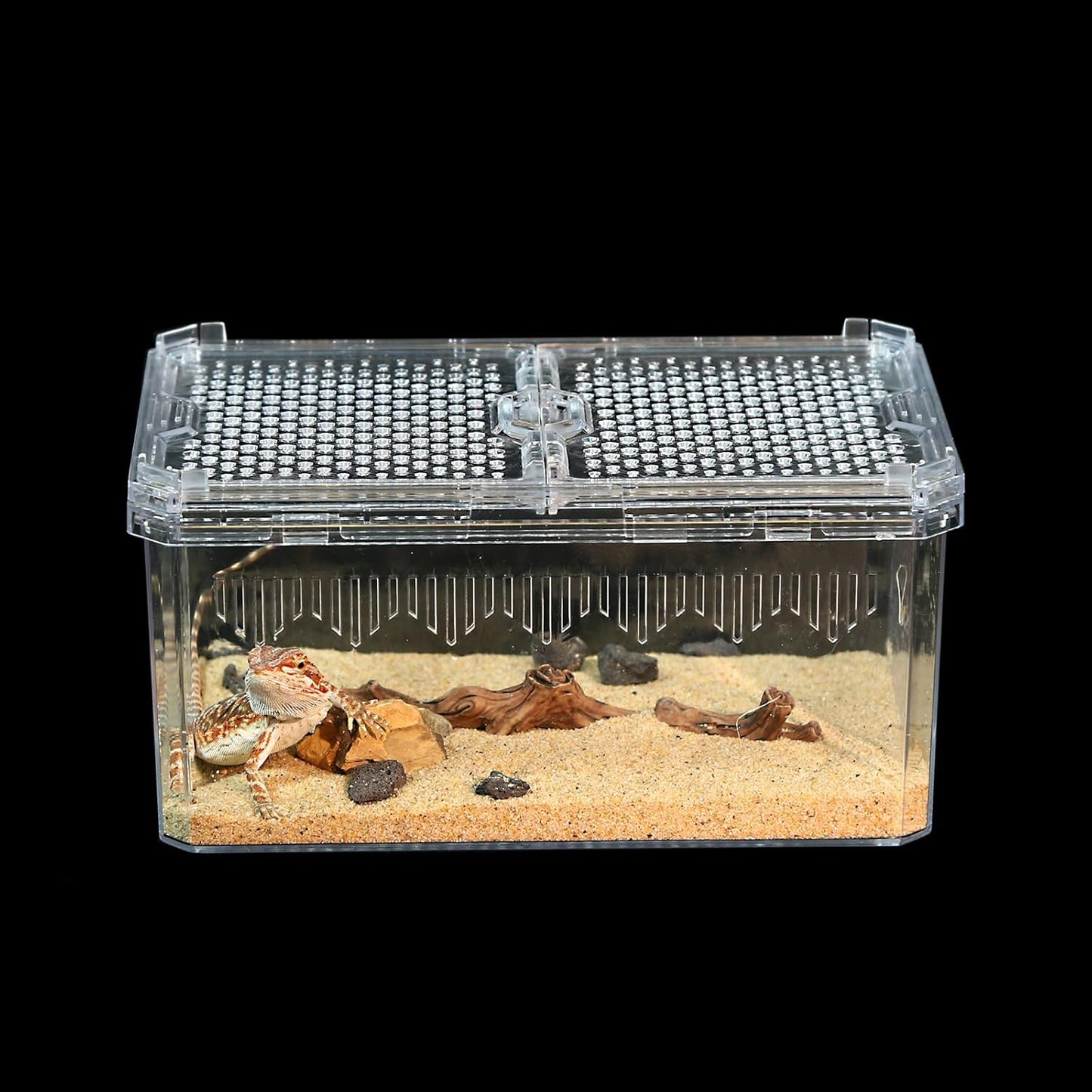 Breathable and Secure Reptile Tank with high Transparency - Ideal Container House for Hermit Crab, Tarantula Enclosure, Cricket Habitat or Jumping Spider Habitat (S)