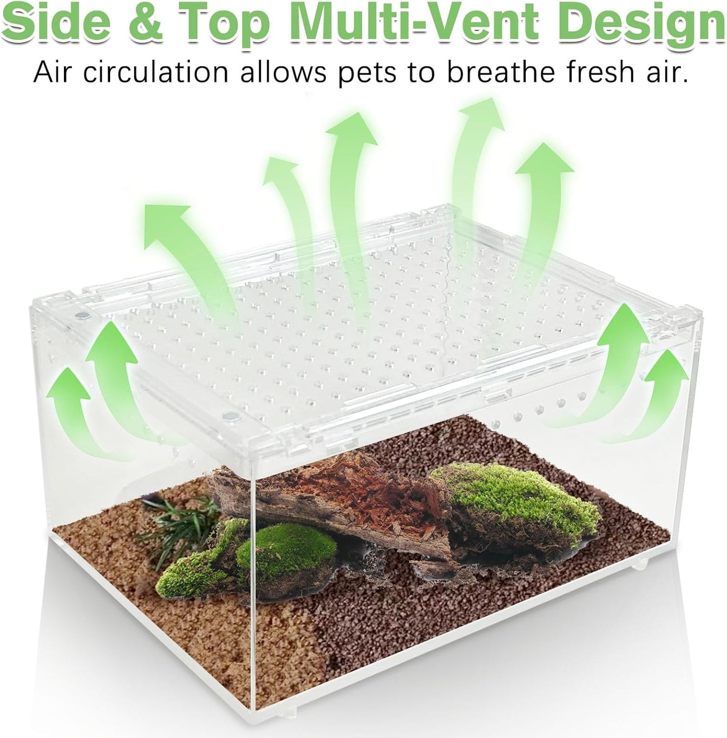Acrylic Tarantula Enclosure Box No Assembly Reptile Terrarium 8x6x4in Transparent Sling Cage Magnetic Jumping Spiders Habitat Breeding Tank for Lizard Scorpion Insect Isopods Invertebrates