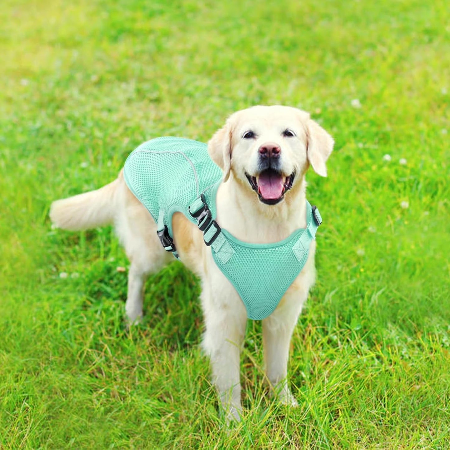 Kuoser Dog Cooling Vest, Pet Cooler Coat, Breathable Doggie Cool Jackets for Medium Dogs, Reflective Cooling Harness, Puppy Summer Essentials Green L