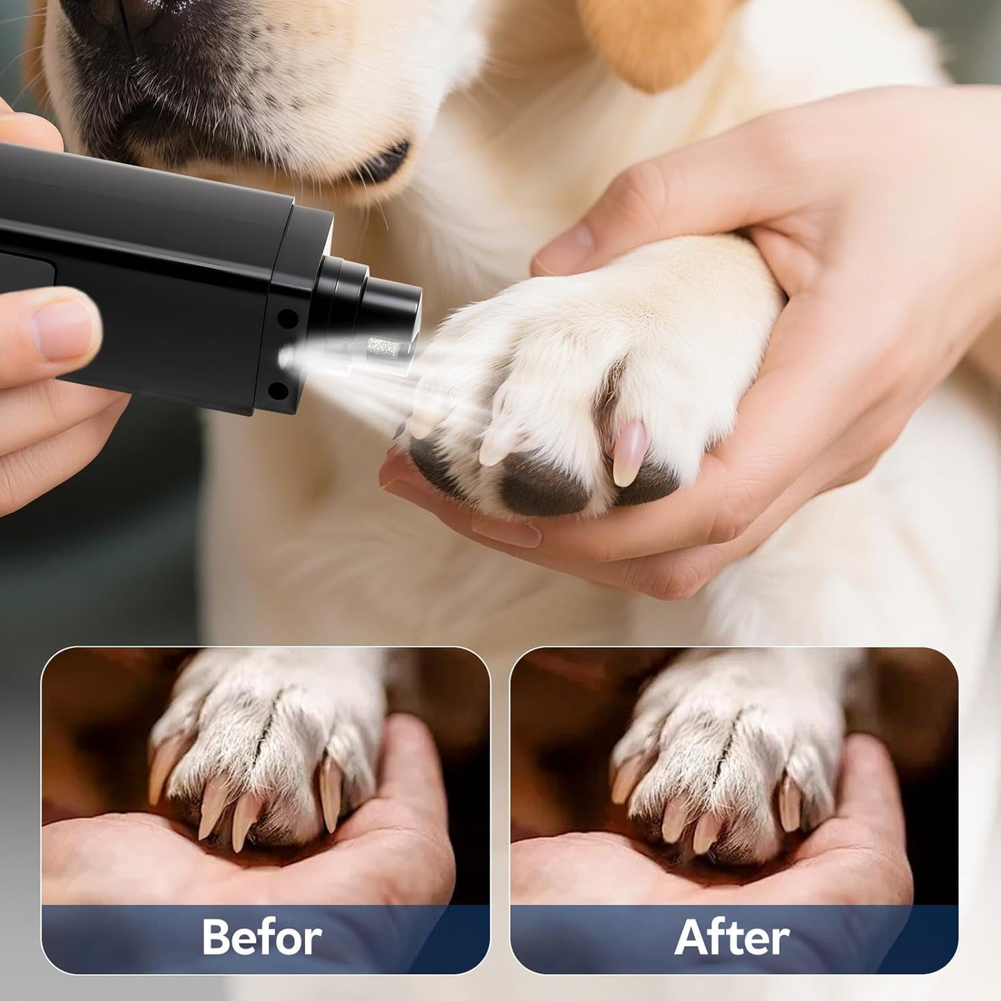 Rechargeable Dog Nail Grinder with 4-Speeds,Pet Claw Trimmers with 2 Modes Lighting UV, Nail Clippers for Small Medium and Large Dogs and Cats, Animal Nail Care,Grooming (Black)