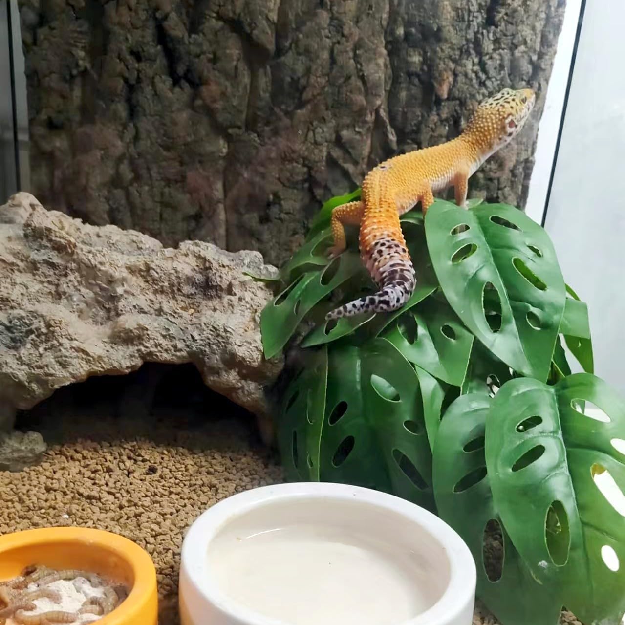 Reptile Plants for Terrarium Decor, Amphibian Habitat Decor, Reptile Tank Accessories, Artificial Hanging Plants with Suction Cup-2 Packs (Swiss Cheese)