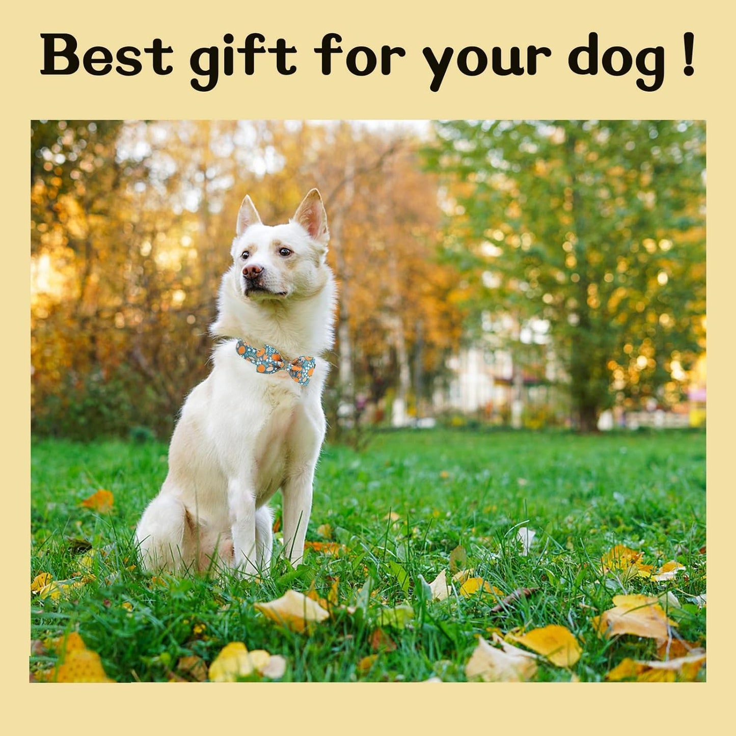 Unique style paws Halloween Dog Collar with Bow Tie Pumpkin Cotton Collar Adjustable Puppy Collar for Small Medium Large Dogs-M