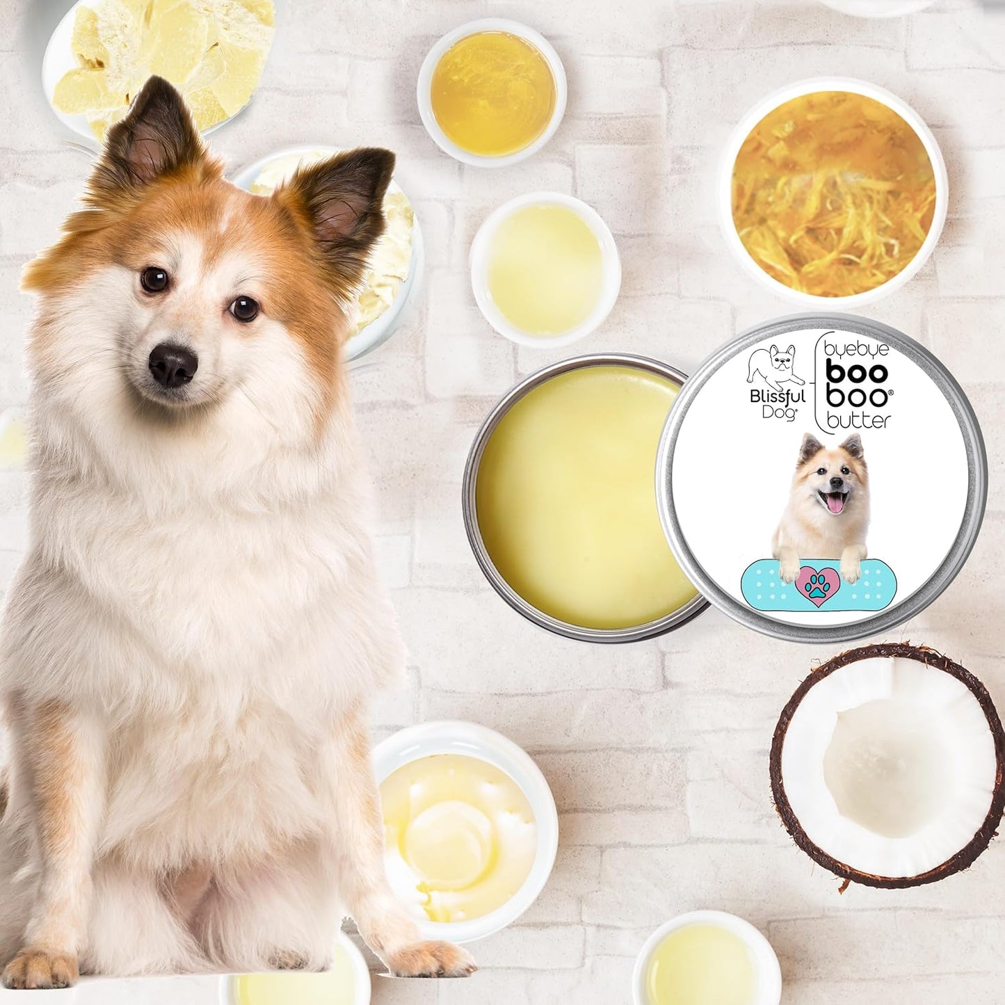 The Blissful Dog Icelandic Sheepdog Boo Boo Butter, 1 Ounce