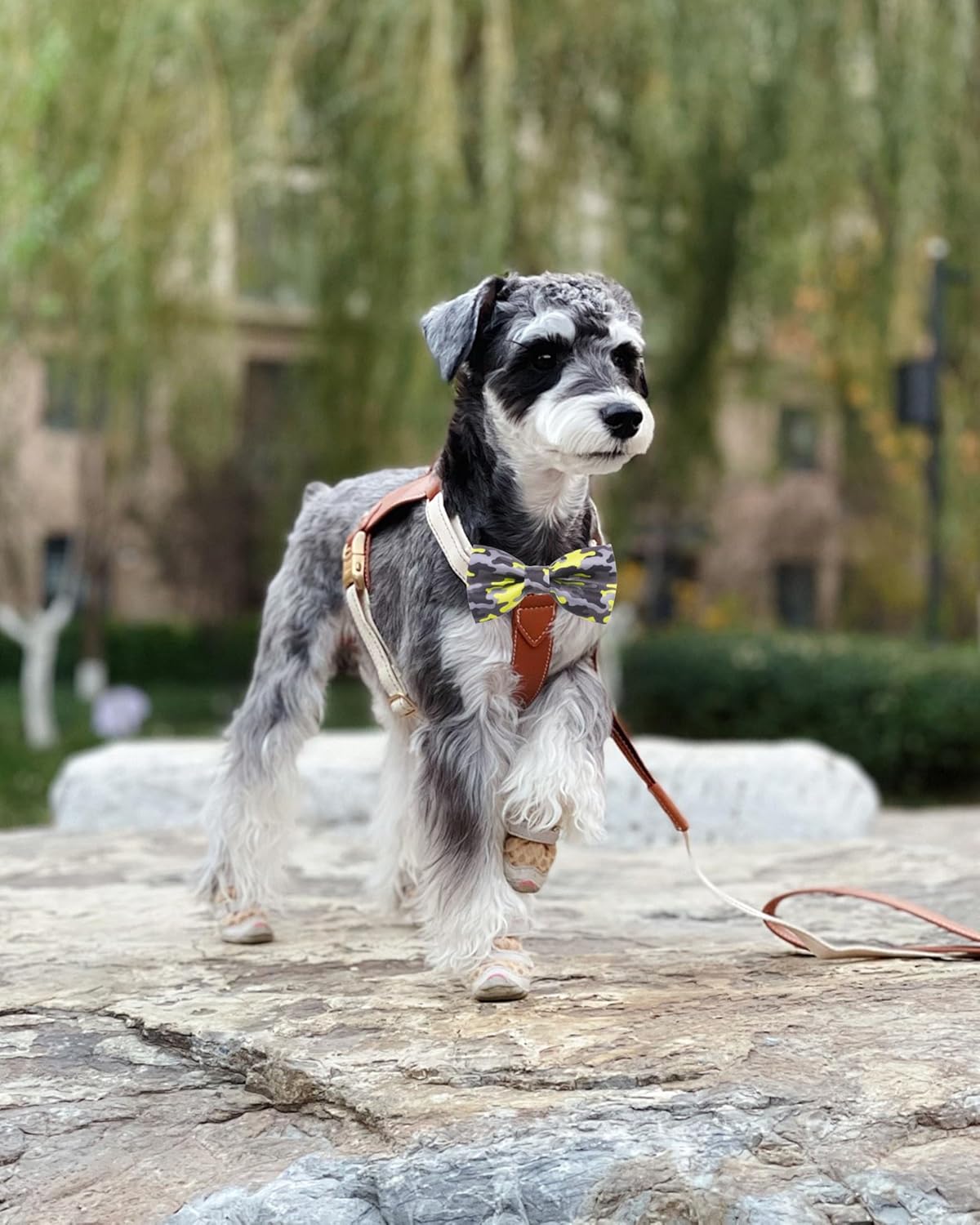 PET SHOW 10 Pack Camo Small Dog Bow Ties Sliding Collar Attachments Puppy Cats Colorful Camouflage Bowties for Medium Dogs Classic Bowknots Party Holiday Pet Grooming Accessories(Small)