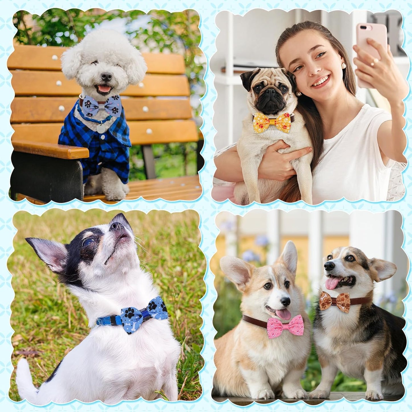 Reginary 50 Pieces Dog Bow Ties Pet Collar Bow Puppy Collar Attachment with Rubber Bands for Small Medium Cat Pet Grooming Charms Accessories Wedding Birthday Occasion(Dog Paw Style)